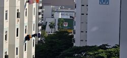 Blk 67 Marine Drive (Marine Parade), HDB 3 Rooms #594305001